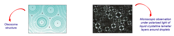 The formation of stable formulations is essential for ensuring products are suitable for real-world use