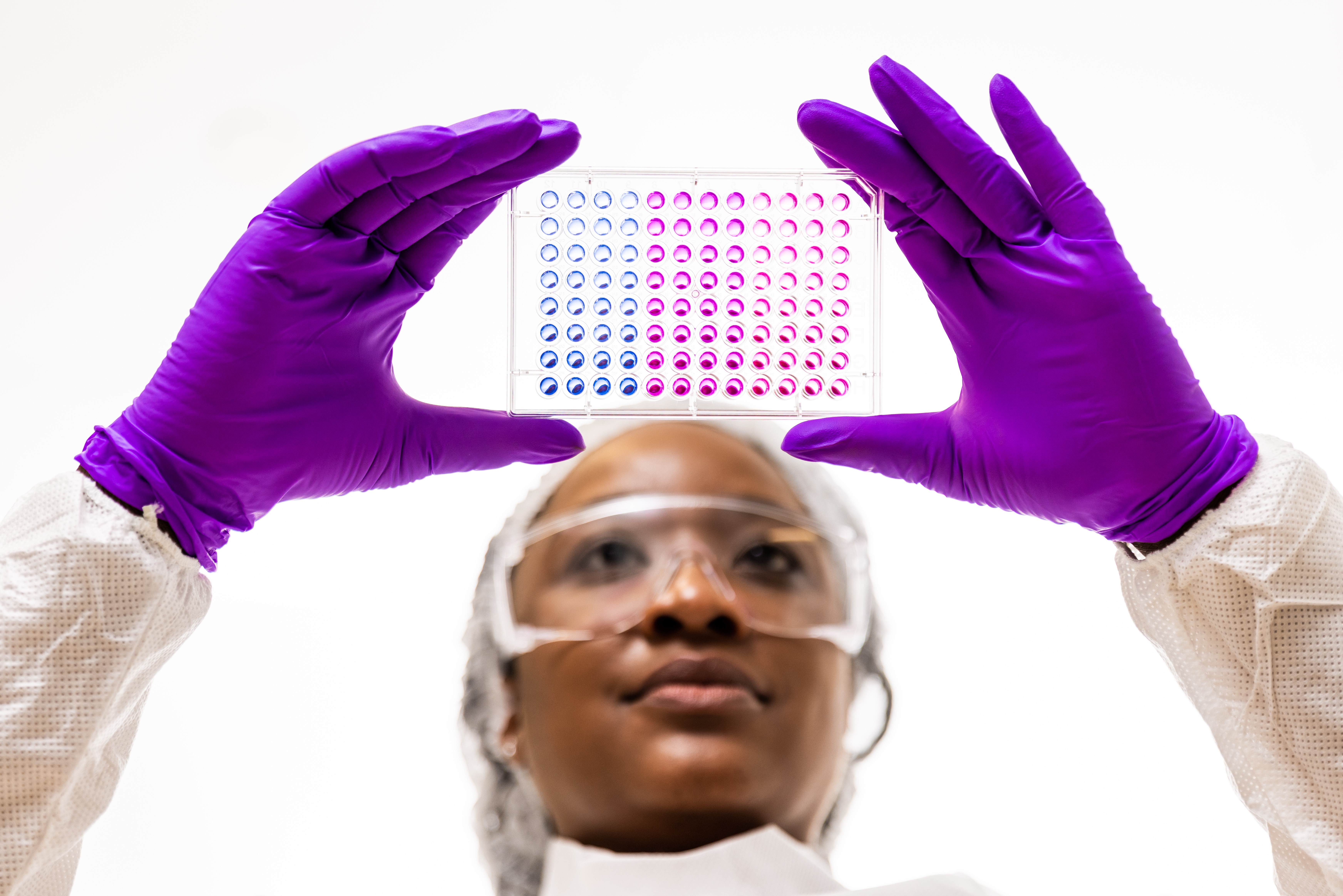 Main image used for Virodex 