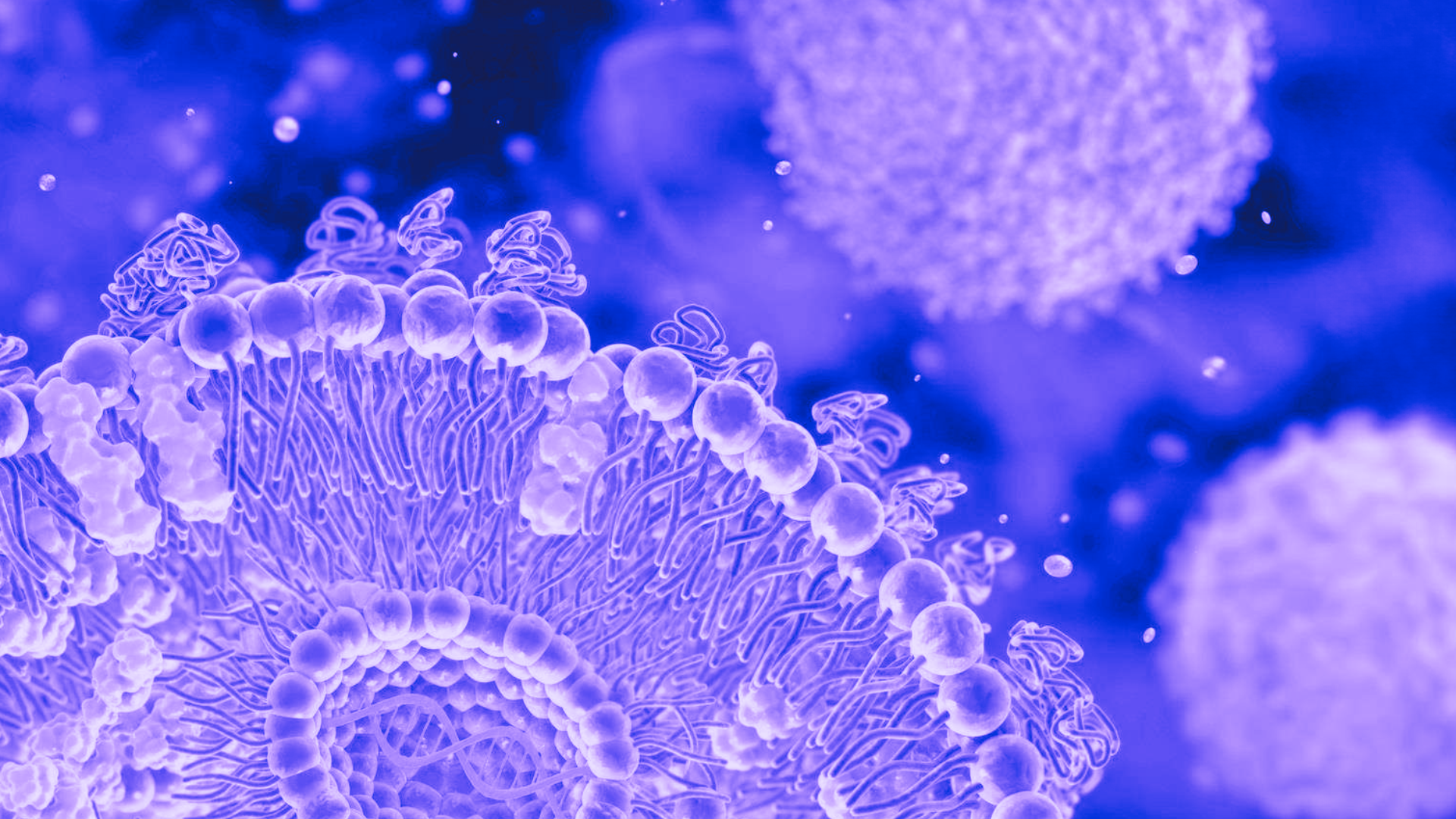 Purple washed image of LNP