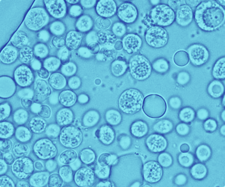 squalene image with blue wash over image