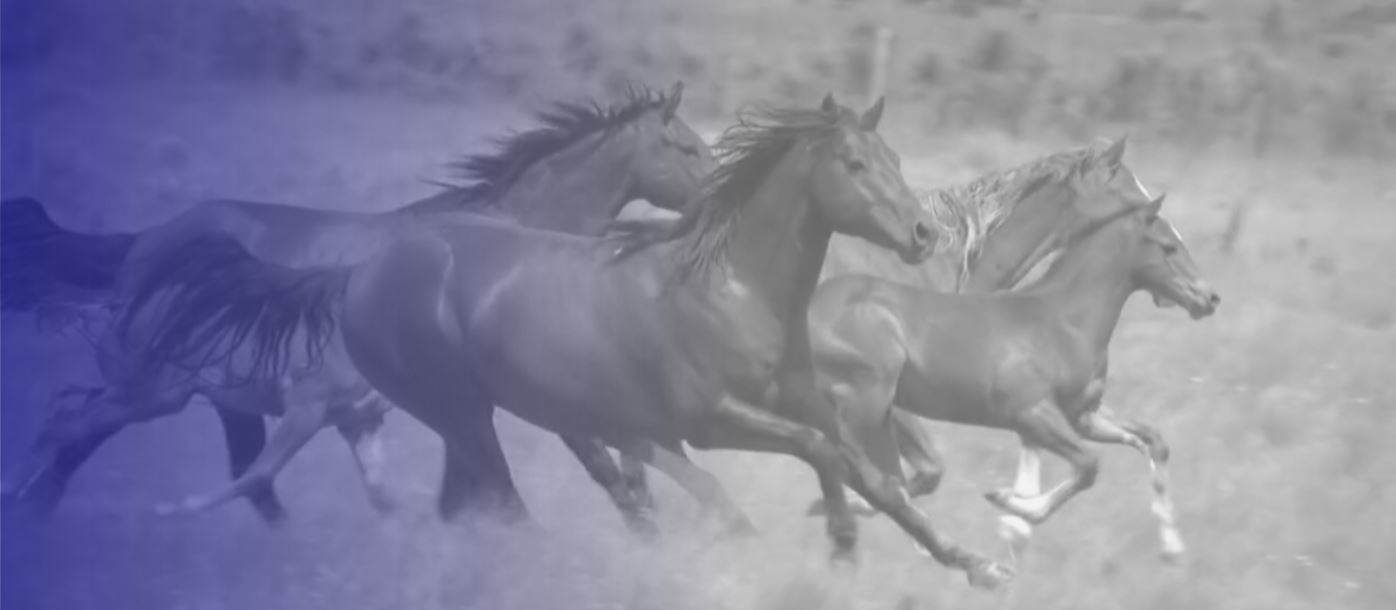 Sign up to the Croda Pharma veterinary webinar!