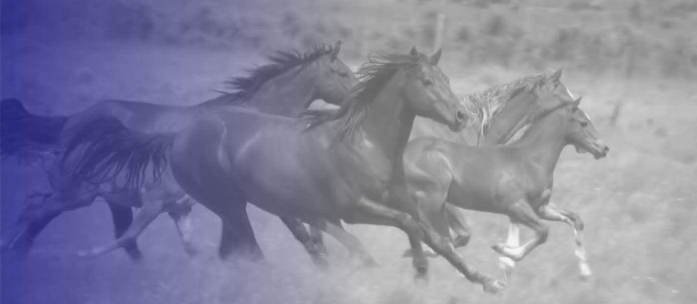 Sign up to the Croda Pharma veterinary webinar!