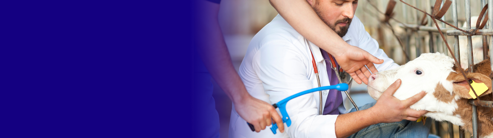 Vietnam Veterinary Webinar Shaping tomorrow’s veterinary care: Croda’s solutions across health applications