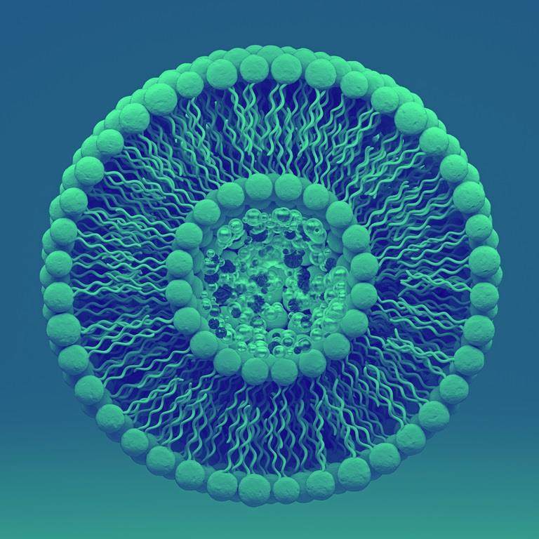 liposome cross section image