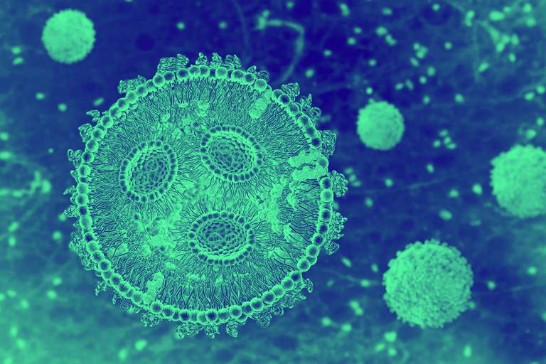 lipid nanoparticle cross section