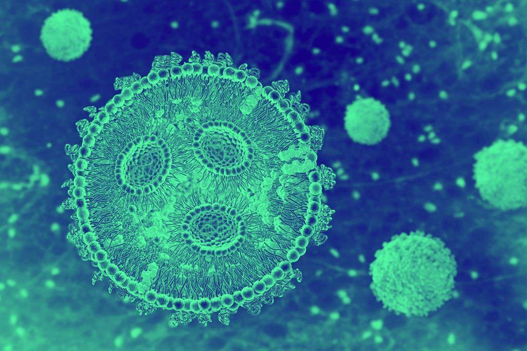 lipid nanoparticle cross section