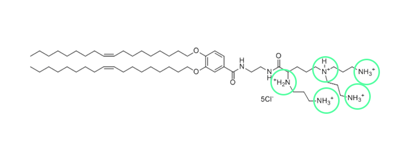 structure of multivalent cationic lipid