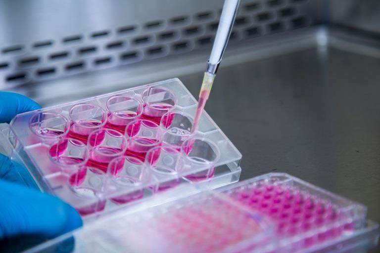 Cell culture medium image