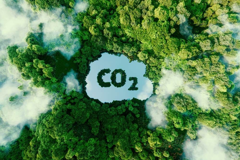 trees with co2 cloud