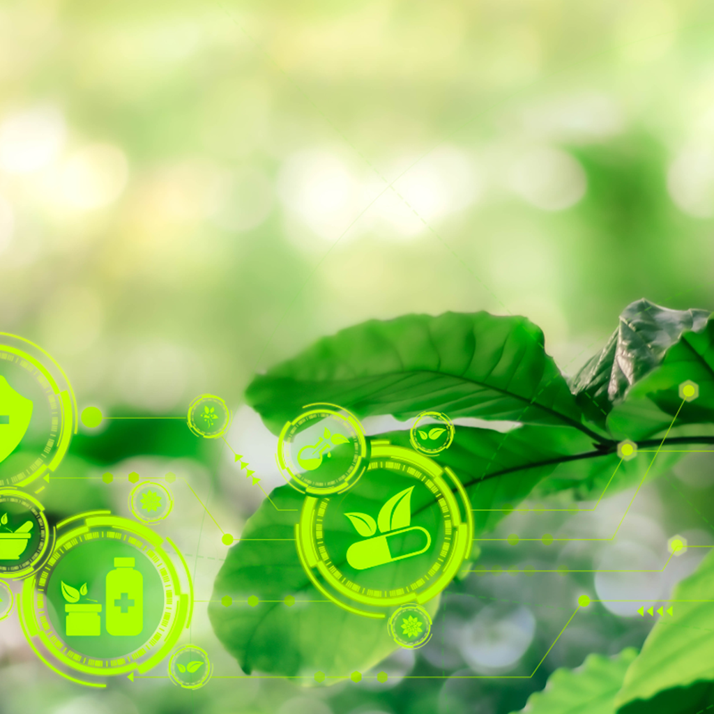 Green leaves with image overlay