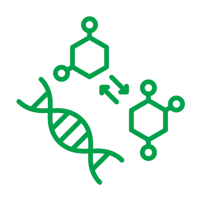 Synthesis of research use materials for a variety of applications. Custom synthesis of reference standards or impurities.