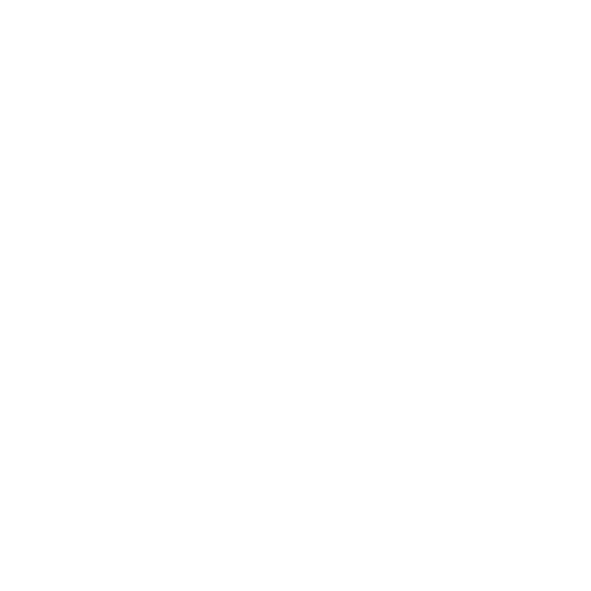 エキスパートアイコン