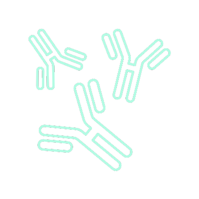 turqoise graphic of antibody