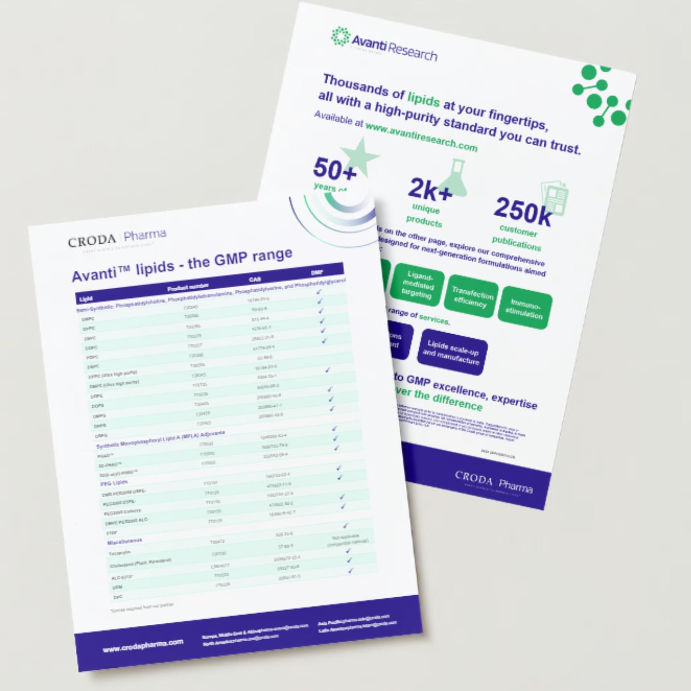 Cover of Avanti 2 page Flyer