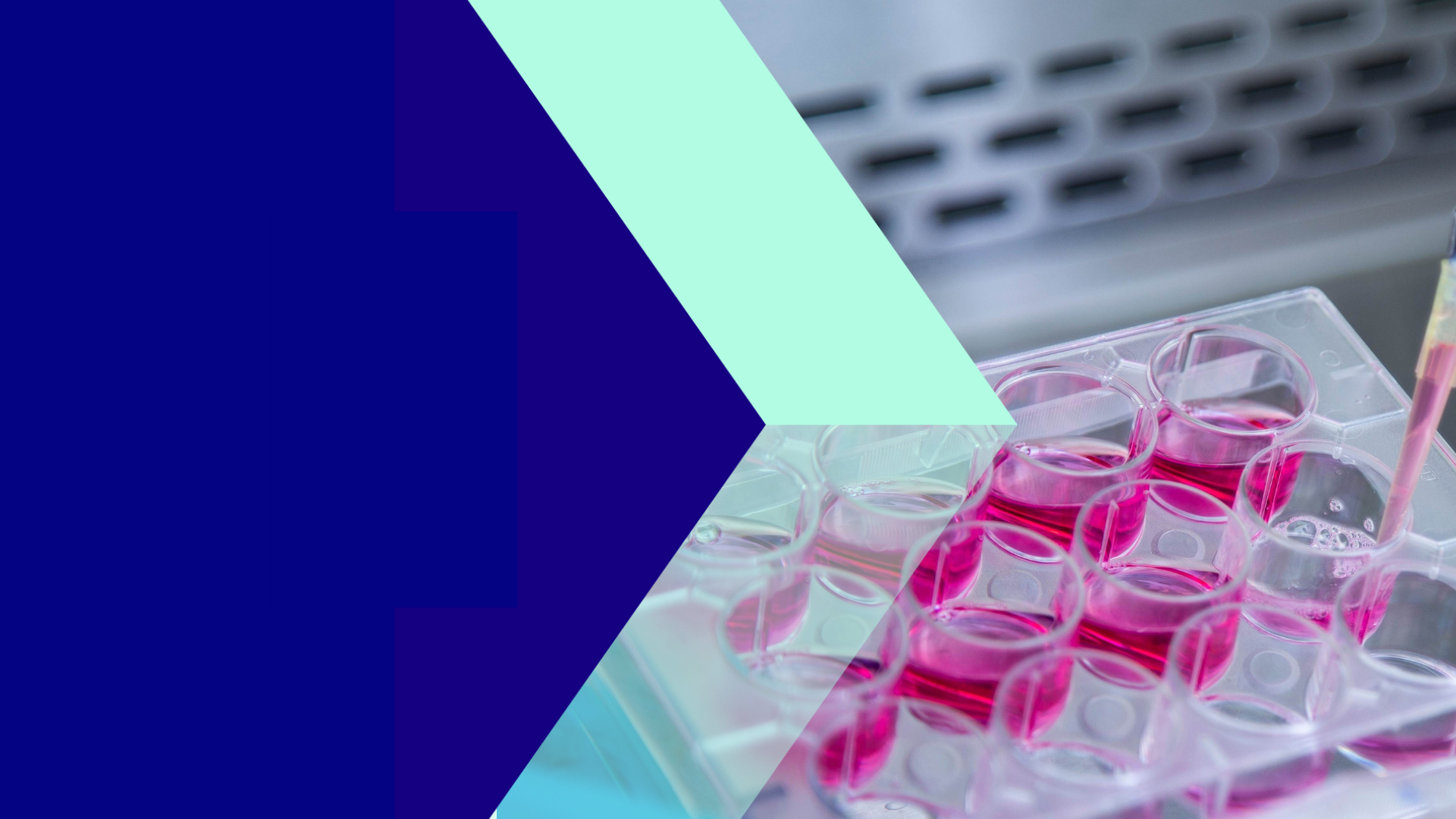 Expand you bioprocessing offering with Croda Pharma Amino Acids