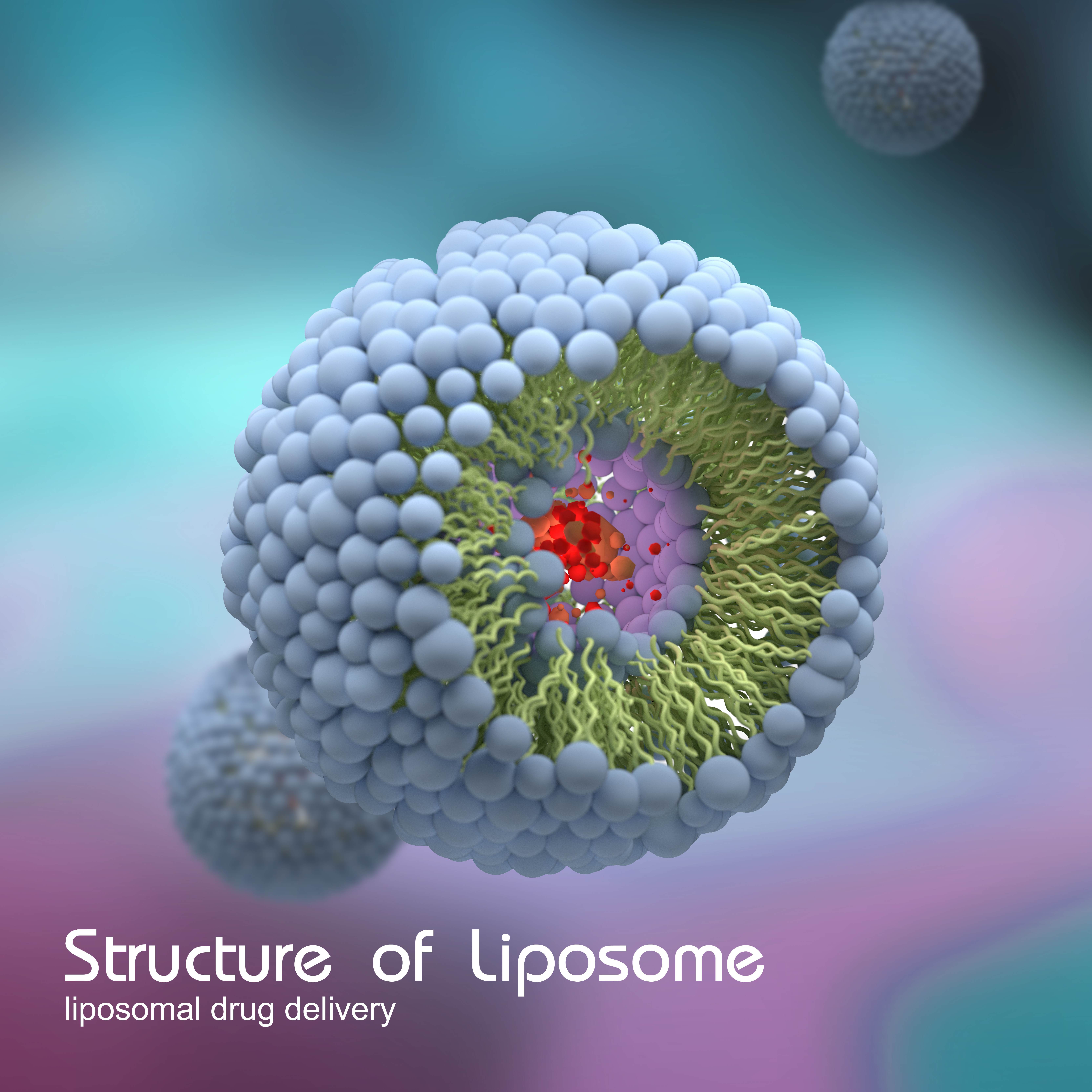 Image of a liposomal structure