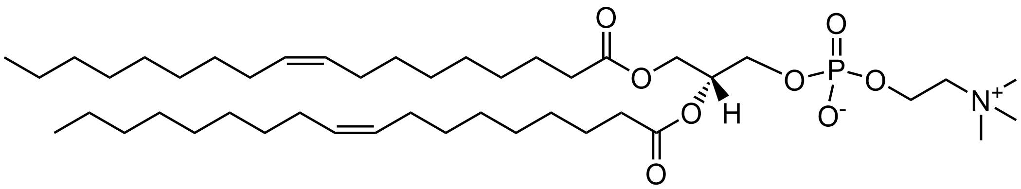 DOPC脂質ナノ粒子構造