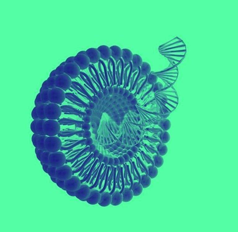 nucleic acid delivery croda pharma