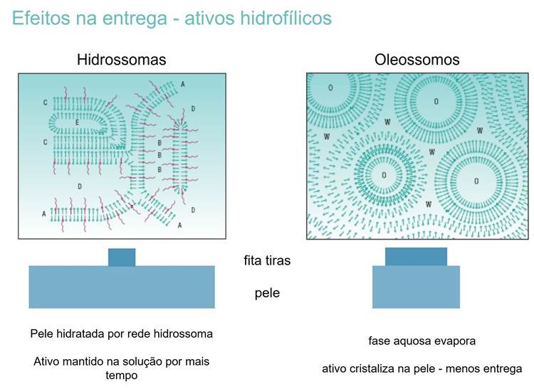 Effect on delivery - hydrophilic actives