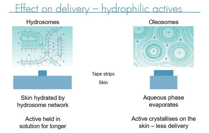 Effects on delivery diagram