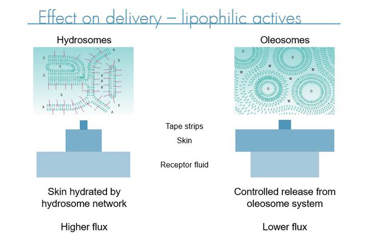 Effects on delivery diagram