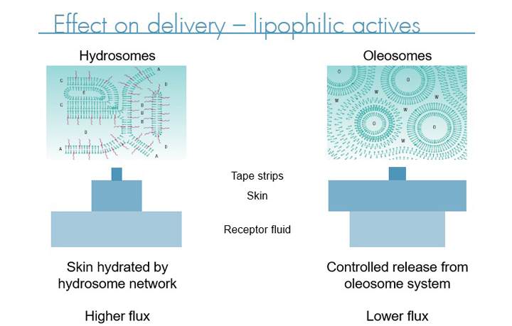 Effects on delivery - lipophilic actives