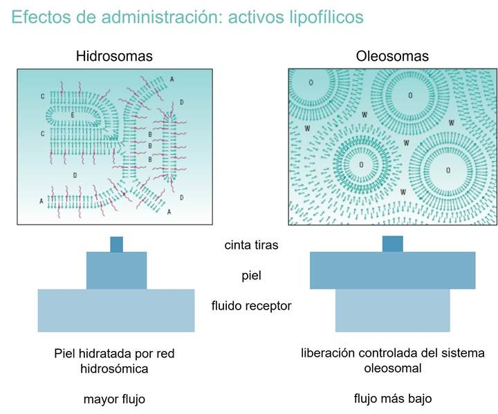 Effects on delivery - lipophilic actives