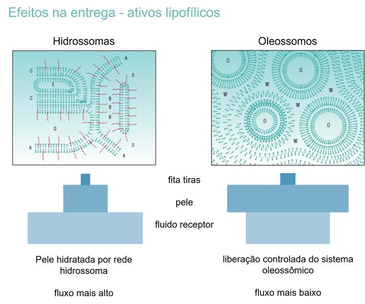 Effects on delivery - lipophilic actives