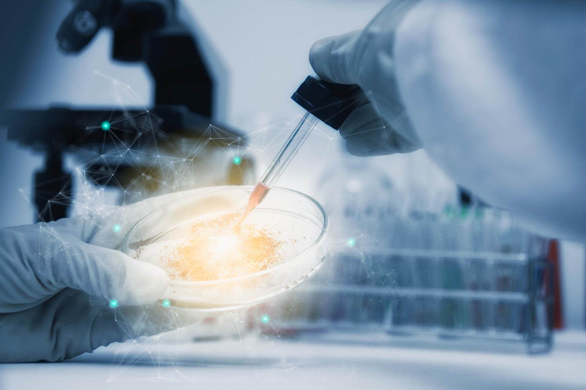 formación de película