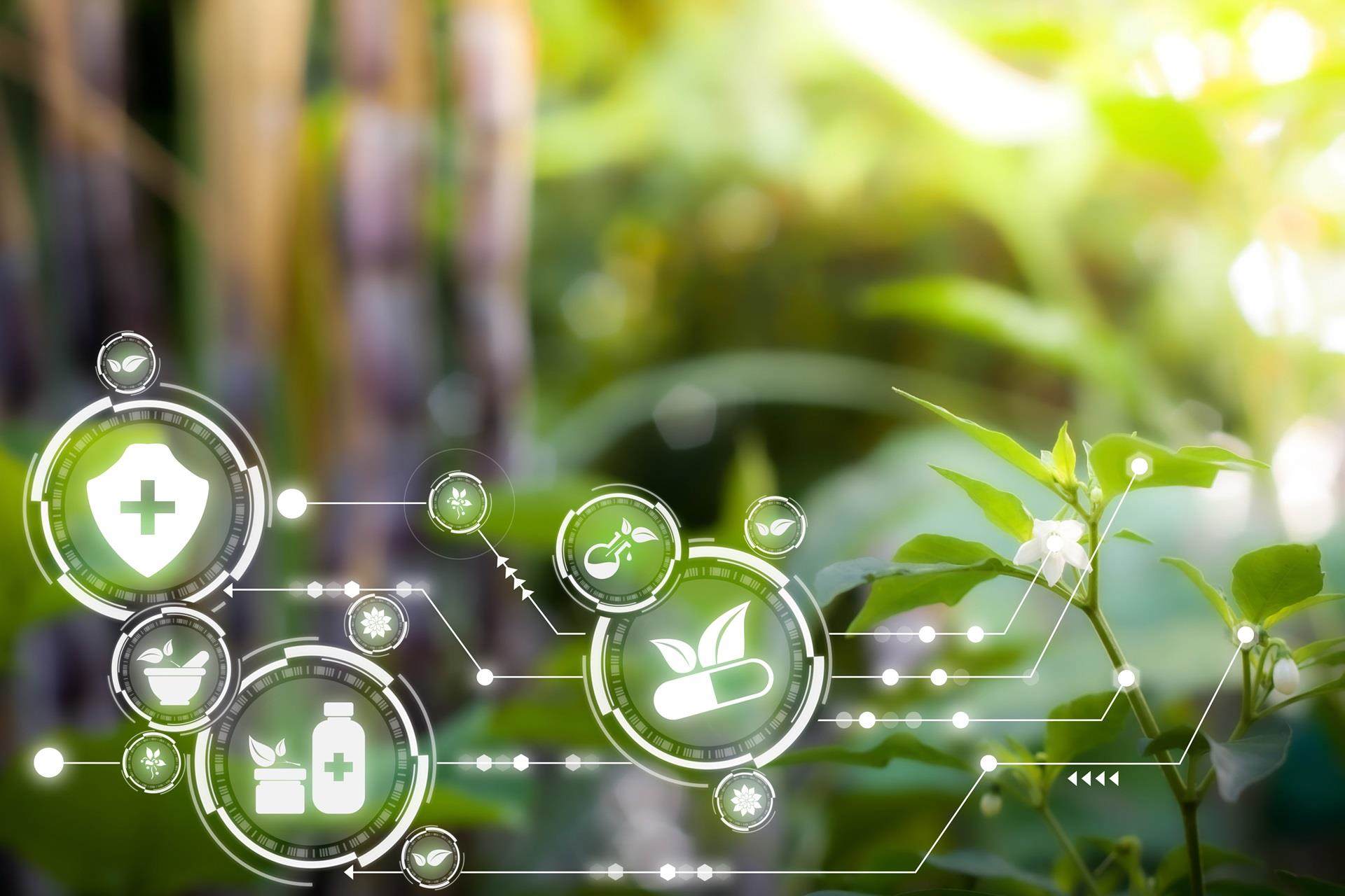 grass image with icons overlaid