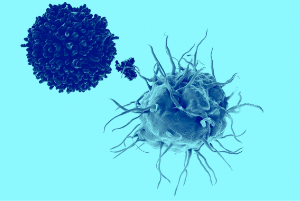 Cationic adjuvant formulation image