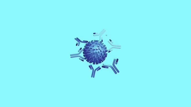 Adjuvant systems