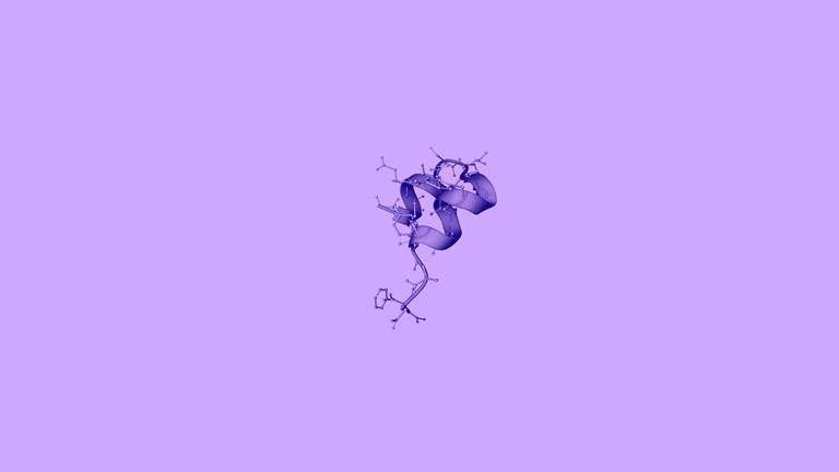 protein delivery