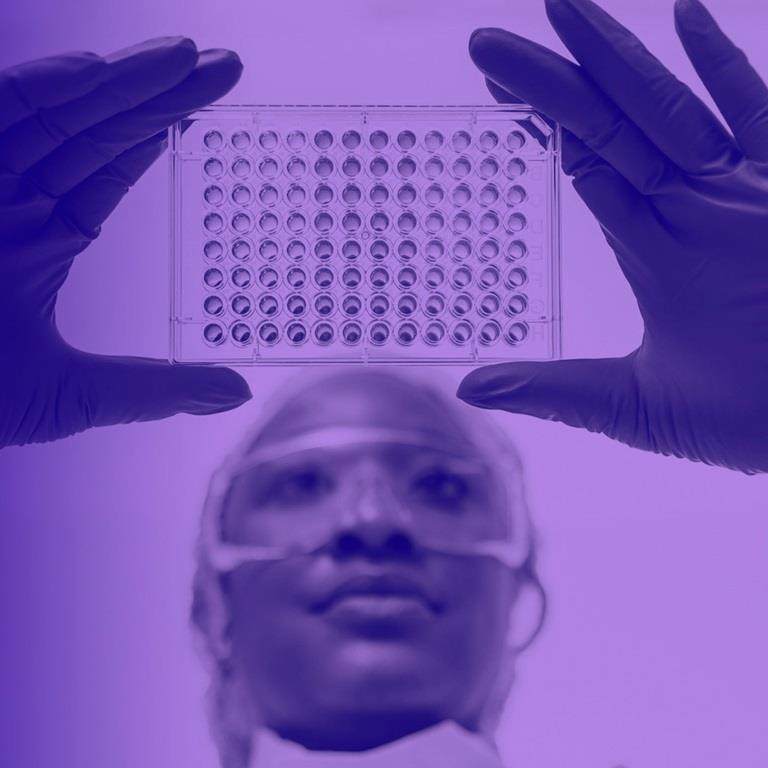 Woman in lab looking at tray with purple wash over image