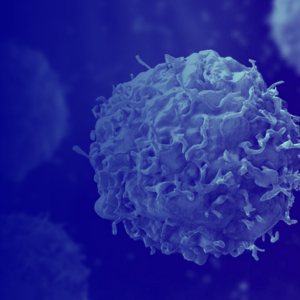 oncology webinar key learnings