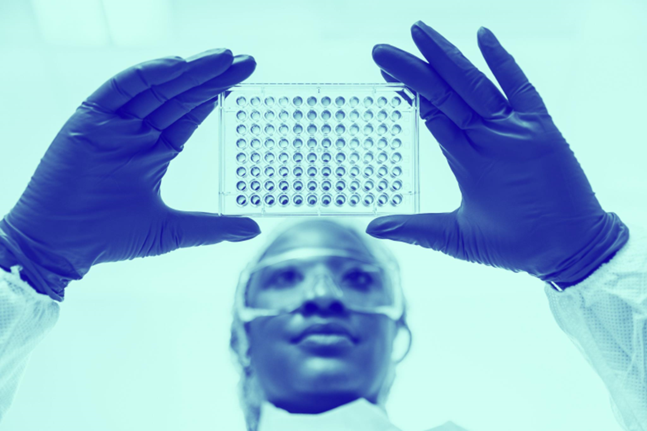 scientist looking at tray in lab